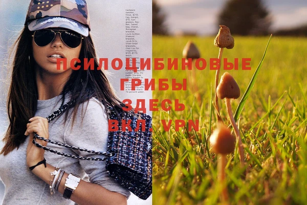 трава Абаза