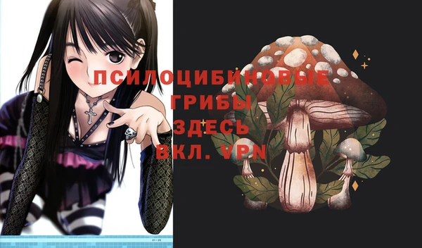 мдпв Абдулино