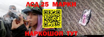 мяу мяу мука Кимры