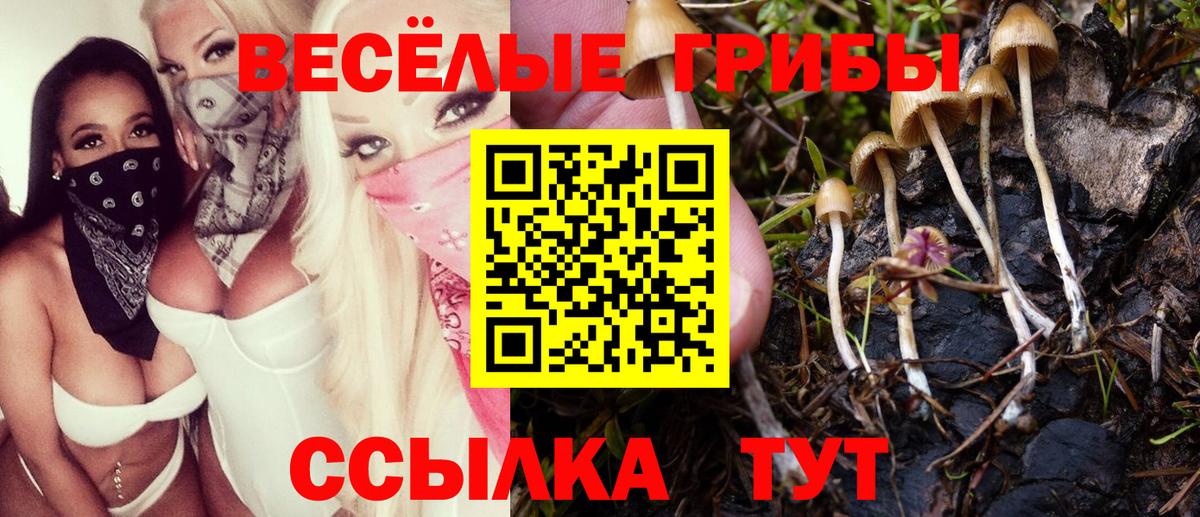 Галлюциногенные грибы Magic Shrooms  Галлюциногенные грибы Psilocybine cubensis  Вход с VPN  Сафоново 