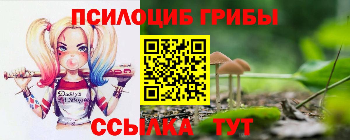 Галлюциногенные грибы мицелий Сафоново